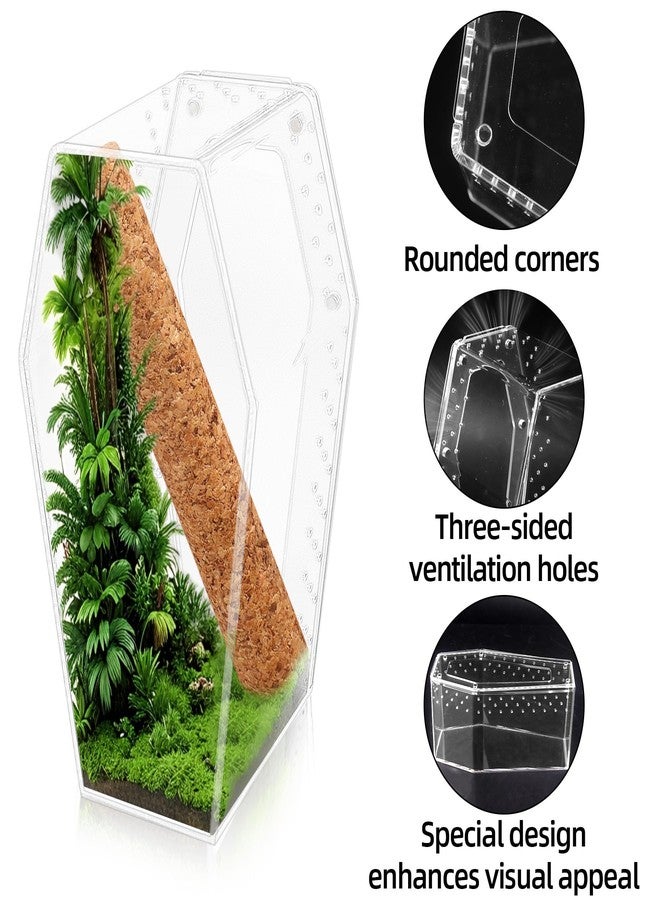 Dmnnlp Jumping Spider Enclosure, Magnetic Door Acrylic Terrarium with Feeding Dish & Landscape Stick for Tarantula Snails Insects Reptiles Plants, Coffin Shape Tabletop Decor 4" x 4" x 8" - Image 3